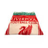 Deka Liverpool YNWA 110x150 napis a logo