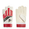 Brankarske rukavice Adidas Predator Pre Training