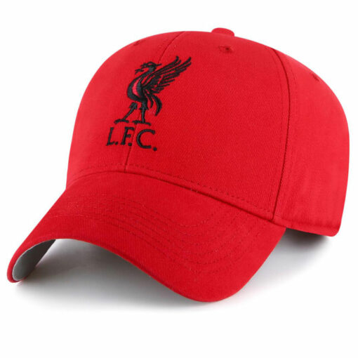 Dětská čepice Liverpool Youths RD